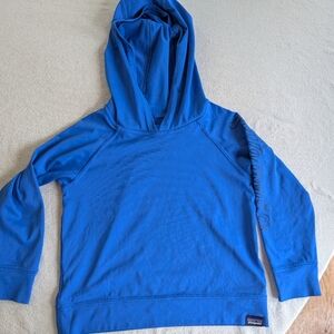 Patagonia Bright Blue Hoodie